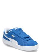 PUMA Suede Xl Blå