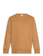 Lindex Sweatshirt Basic Orange