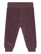 Fixoni Pants Velour Burgundy