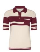 GANT Color Blocked Polo Knit Burgundy