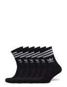 Adidas Originals 3 Strip Crw 6Pp Svart