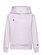 Champion Hooded Sweatshirt Rosa