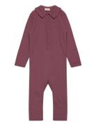 Fixoni Romper Ls Rib Burgundy