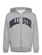 Hollister Hco. Guys Sweatshirts Grå