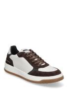 Steve Madden Ace Sneaker Brun