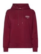 GANT Small Graphic Hoodie Röd