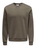 ONLY & SONS Onsceres Crew Neck Noos Brun