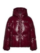 Tommy Hilfiger New York Glossy Puffer Jacket Burgundy