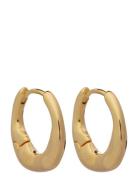 PD Paola Mini Magma Hoop Earrings Guld