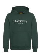 Hackett London Heritage Hoody Grön