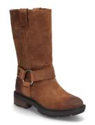 Timberland Brimfield Tall Pull On Boot Dark Brown Suede Brun