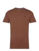 U.S. Polo Assn. Uspa T-Shirt Arjun Men Brun