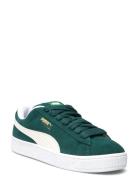 PUMA Suede Xl Grön