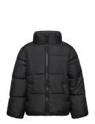 Tom Tailor Puffer Jacket Svart