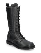 ANGULUS Boots - Flat - With Laces Svart