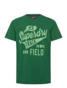 Superdry College Scripted Graphic Tee Grön