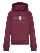 GANT Archive Shield Hoodie Burgundy