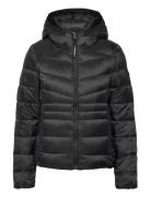 Superdry Hooded Fuji Quilt Padded Jkt Svart