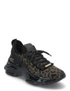 Steve Madden Maxilla-S Sneaker Svart