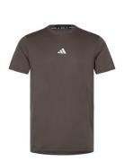 Adidas Performance Adidas D4T Hiit Workout Heat.rdy T-Shirt Brun