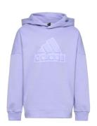 Adidas Sportswear U Fi Logo Hd Lila