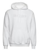 Hollister Hco. Guys Sweatshirts Vit