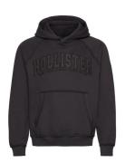 Hollister Hco. Guys Sweatshirts Brun