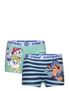 Paw Patrol Boxer Blå