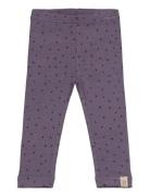 Petit Piao Legging Modal Dot Lila