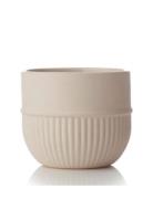 Novoform Root Cup Beige