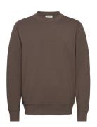 Casual Friday Cfsebastian 0096 Crew Neck Swe Brun