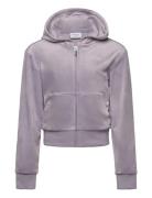 Juicy Couture Tonal Zip Through Hoodie Lila