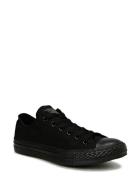 Converse C Taylor A/S Ox Blk Mono Svart