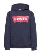 Levi's Po-Pull-Over Hoody Blå