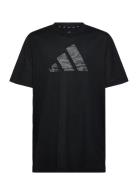 Adidas Sportswear J Tr-Es Cam Te Svart