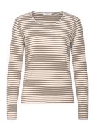 Claire Woman Cwamy Stripe - T-Shirt Beige