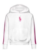 Ralph Lauren Kids Striped Big Pony French Terry Hoodie Vit