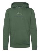 Helly Hansen F2F Organic Cotton Hoodie Grön