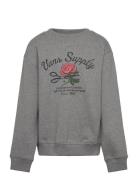 VANS Supply Boutique Crew Grå