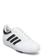 Adidas Sportswear Hoops 4.0 J Vit