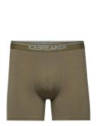 Icebreaker Men Merino 150 Anatomica Boxers Grön