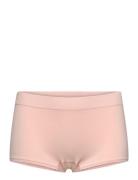 Lindex Panty Boxer Seamless Rosa