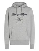 Tommy Hilfiger Script Logo Hoody Grå