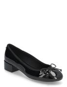 Steve Madden Cherish Ballerina Svart