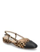 Steve Madden Belinda-L Ballerina Svart