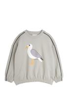 Mini Rodini Seagull Sp Sweatshirt Grå