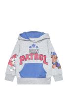 Paw Patrol Sweats Grå