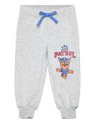 Paw Patrol Pant Grå