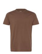 Hollister Hco. Guys Knits Brun
