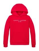Tommy Hilfiger U Corp Logo Ess Hoodie Röd